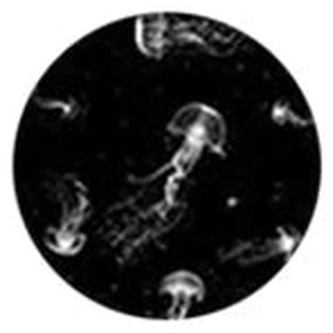 Medusas cósmicas